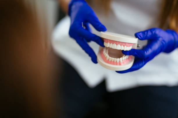 Reliable Colorado City, CO  Holistic Dental Services Solutions
